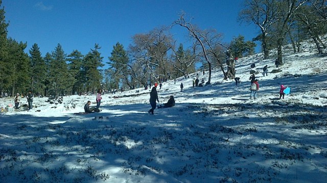 Snow Falls in San Diego