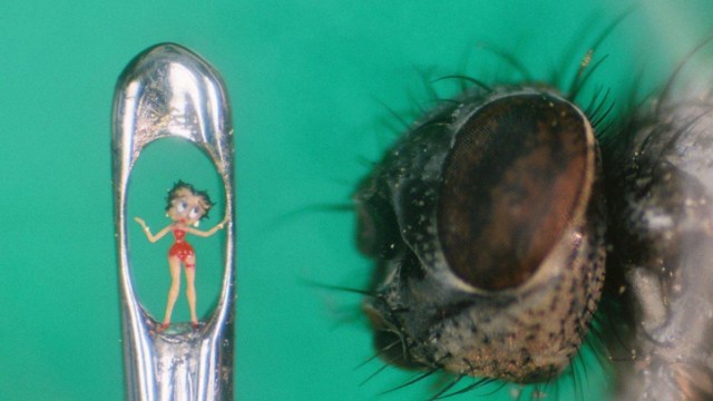 Small Sculptures at Air & Space Museum