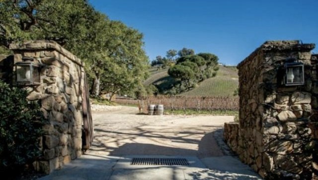 Buy The Winery That 