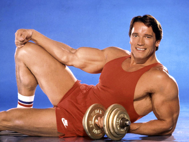 The Governator: Bodybuilder, Actor, Politician