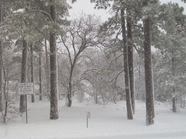 April Snow Day