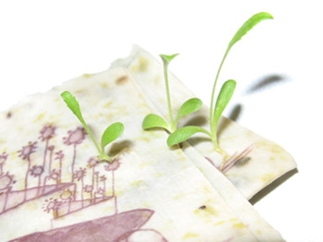 Grow a Card
