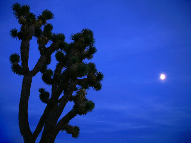 California's Great Parks