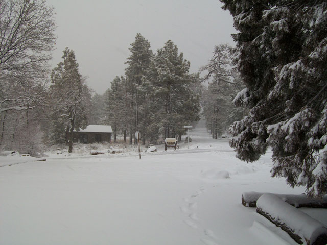 March Storms In