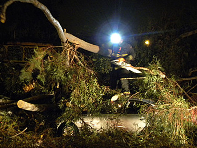 Storm Damage - December 2009
