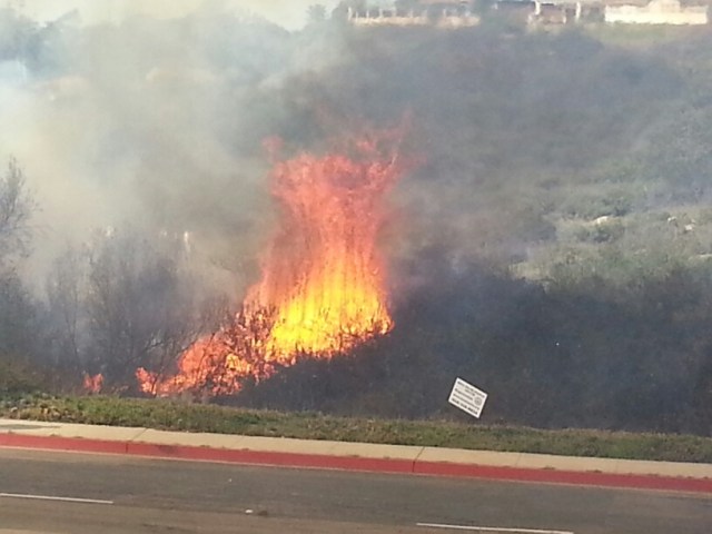Images of University City Fire