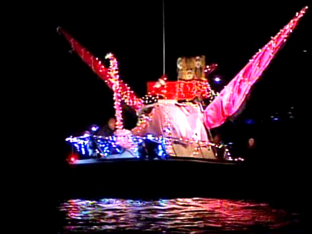 Lights Illuminate the Bay