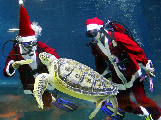 Weird News Photos: Santa Edition