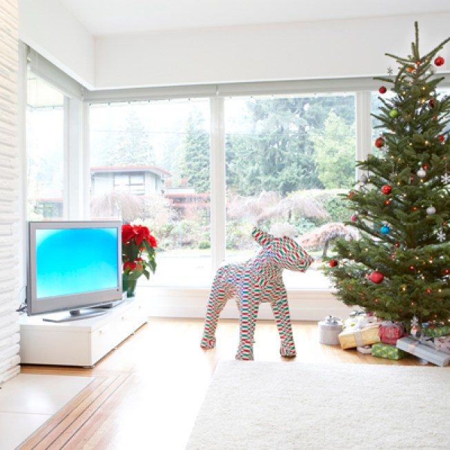 psst want a xmas tree cheap nbc 7 san diego psst want a xmas tree cheap nbc 7 san diego