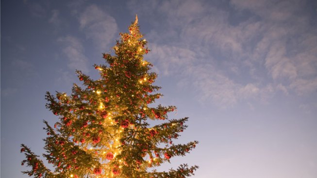 christmas tree tax keeps it real nbc 7 san diego christmas tree tax keeps it real nbc 7 san diego