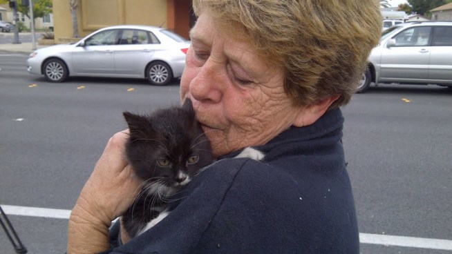 A kitten was rescued after being stuck in a pipe on Thanksgiving.