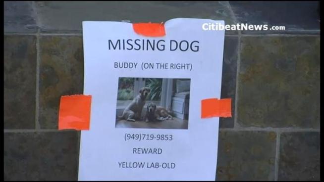 His best friend found him and 