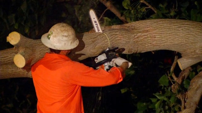 High winds swept across San Diego County early Thursday causing some damage like a downed tree in Ocean Beach.