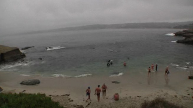 A scuba diver in his 40s died after experiencing trouble breathing during a group dive in La Jolla. Lifeguards pulled him from the water, but he later died at the hospital.