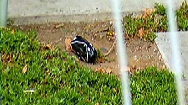 Fire investigators say it seems like someone intended to cause disruption and now investigators are trying to figure out who is responsible for this felony. Kelly McPherson reports.