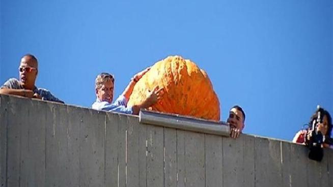 UCSD's 37th annual monster pumpkin drop created quite the splat Monday.