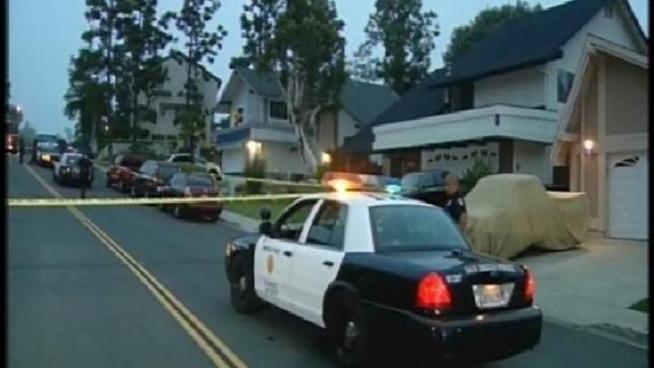 Brian Williams, 24, is accused of fatally stabbing his mother, Donna Williams, a San Diego Police Department child abuse detective, and his sister, Breanna, a recent Mt. Carmel High graduate and softball standout committed to the Academy of Art University