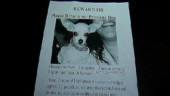 A woman who was trying to raise awareness about her missing dog by wearing a bikini is now ending that campaign, because of a possible stalker.