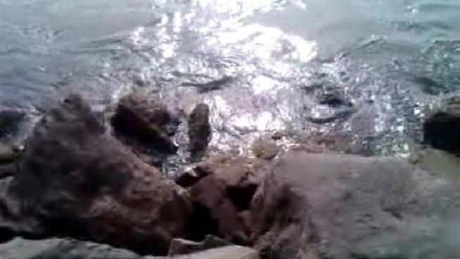 This video shows swirling currents and water dropping 3 feet in the Quivira Basin of Mission Bay in the wake of a Tsunami event triggered by a devastating earthquake in <a title=
