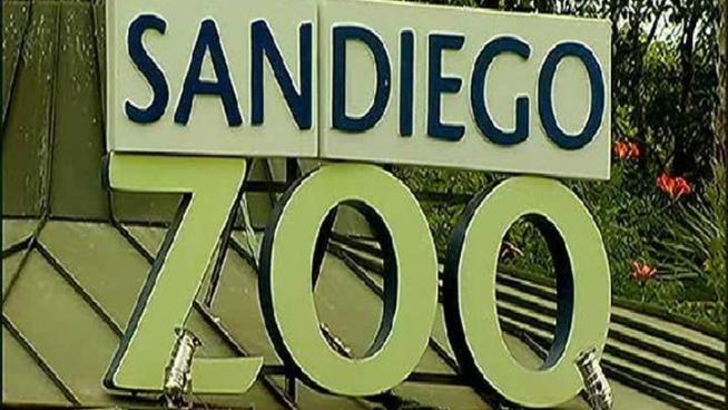 The Monday morning fire near the San Diego Zoo's panda exhibit was arson, said Maurice Luque, San Diego Fire and Rescue spokesperson.