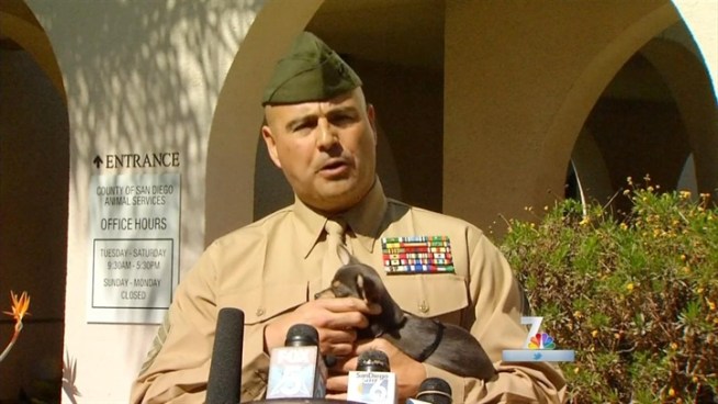 On Valentine's Day, the rescue dog Clifford was sent home with his new family - Gunnery Sgt. John Szczepanowski.