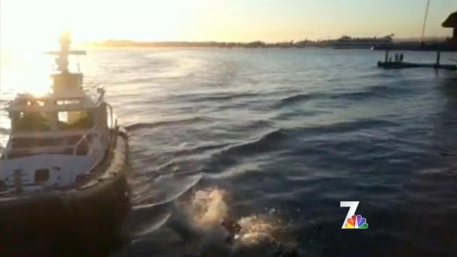 A man suffering from hypothermia was rescued from San Diego Bay Saturday evening. NBC 7's Lea Sutton reports.