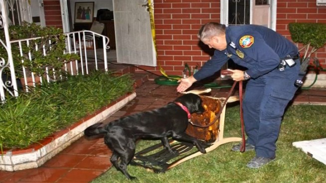A Metro Arson Strike Team dog is retiring after six years.