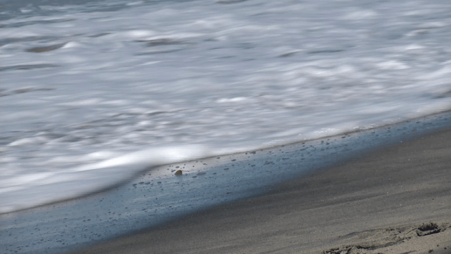 How Scripps Institution of Oceanography researchers are using lasers to track grains of sand. NBC 7's Greg Bledsoe reports.