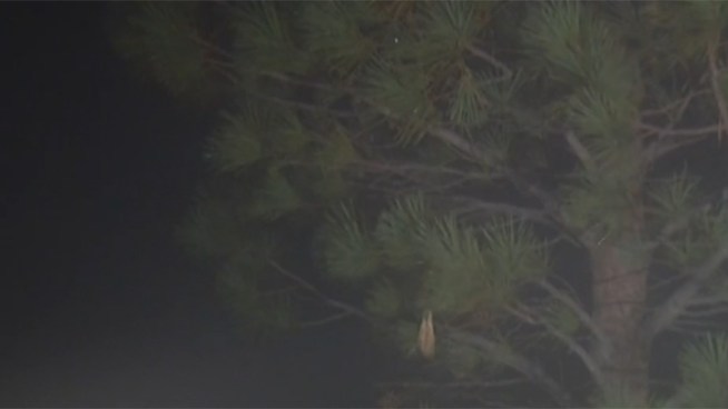 A winter storm in San Diego on Thursday made for frigid temperatures in the mountains.