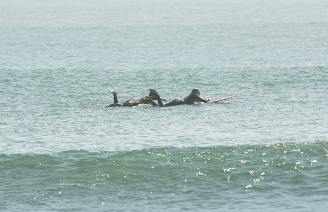 Paddle the Pier for a Cleaner Ocean
