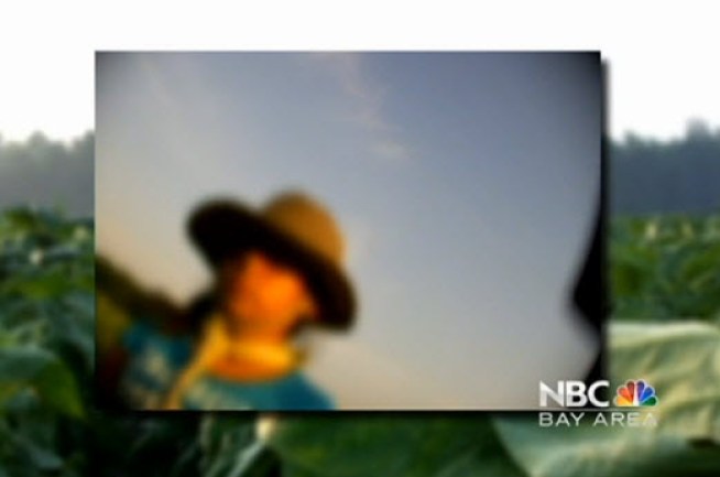 Advocates who study migrant farm worker families estimate that as many as a half million of children currently work in the fields of America picking our food.