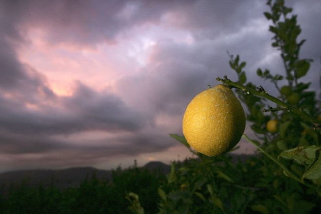 Take Life’s Lemons and Make Lemonade 