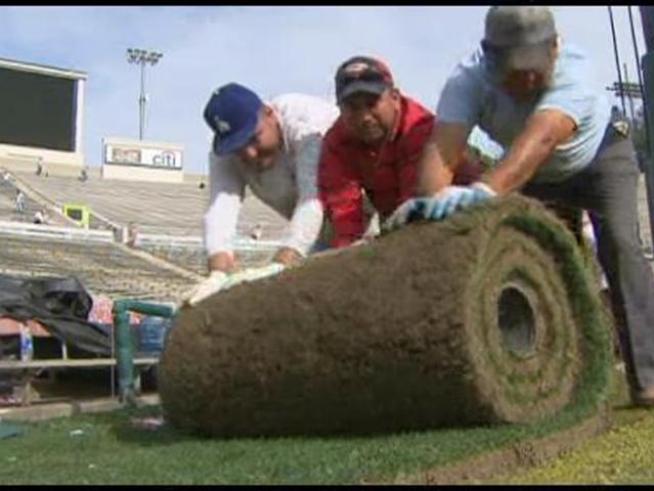 For 99 dollars, you can own a slab of sod from the <a title=