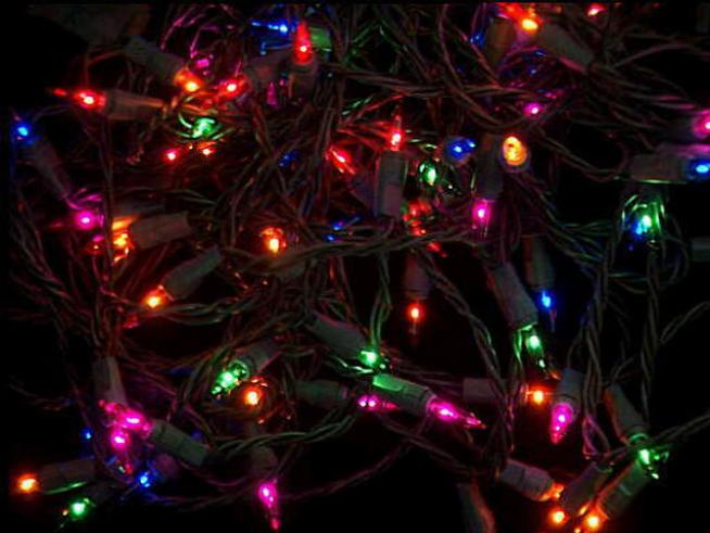 Volunteers Decorate South Bay Garden