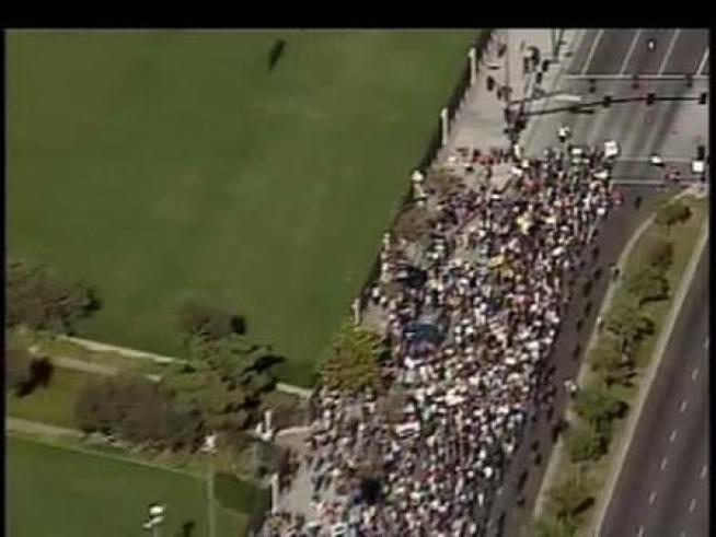 Opponents of California's same-sex marriage ban march around the Mormon temple in Westwood.