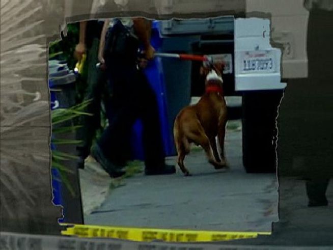 An infant boy was mauled and killed by up to three dogs Thursday evening. Nicole Gonzales spoke to neighbors, horrified by the attack.
