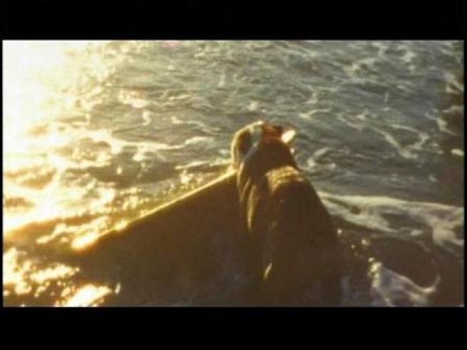 New ad campaign pitches vacationing in San Diego