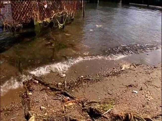 Nearly 300 cases of pollution in <a title=