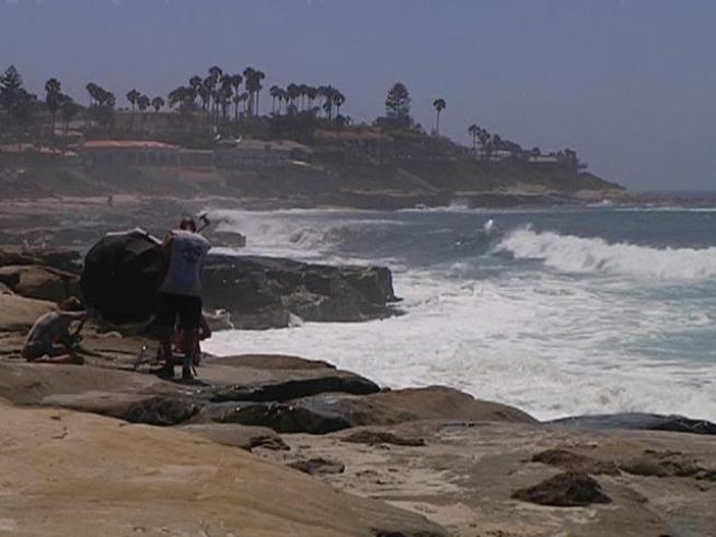 It's a surfers' paradise off our coast for the next day or two.