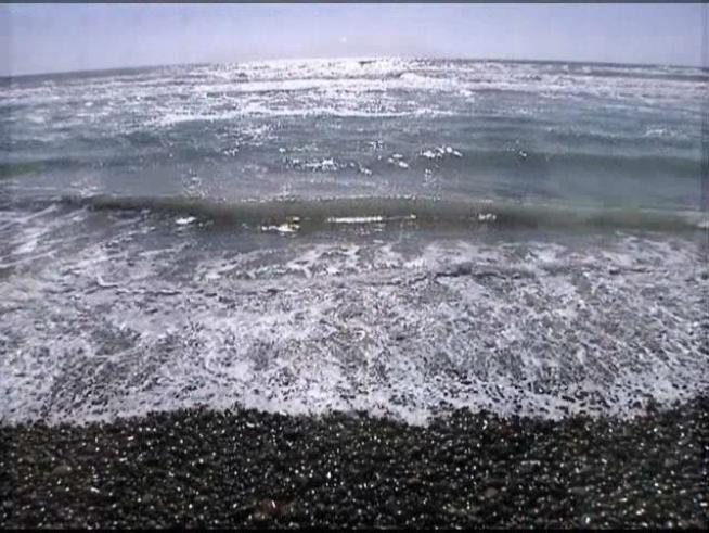 His family walks the beach every night in hopes of finding him.
