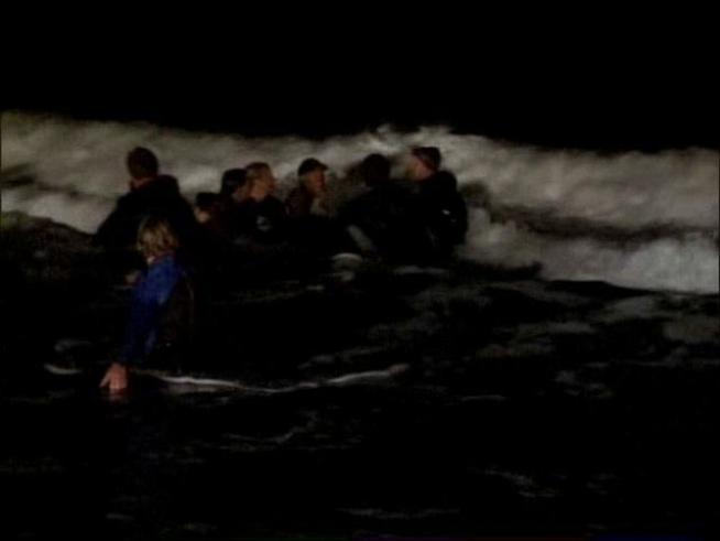 For the first time in 25 years, a sperm whale washed ashore in <a title=