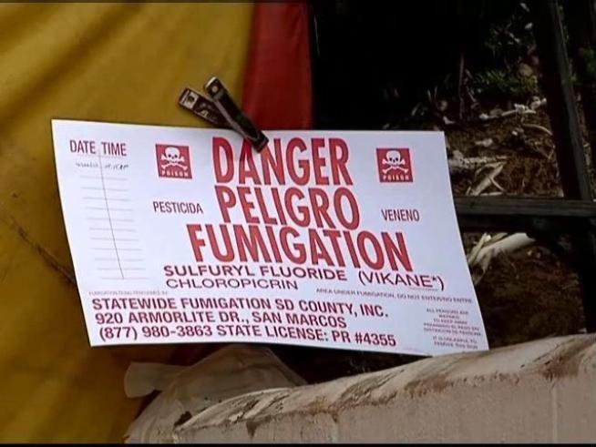 Homeowners are returning to discover that they have other problems besides termites.