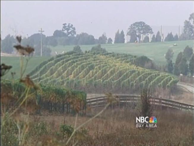 Even before its legally sold for fun, marijuana is a big money maker in the Golden State.