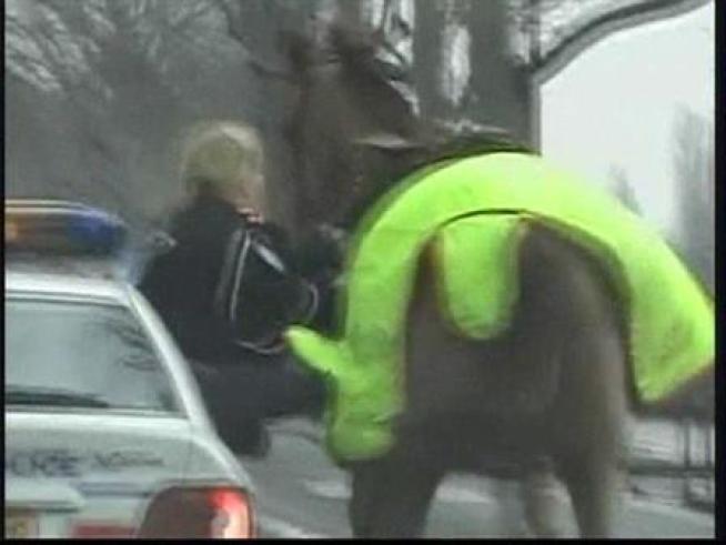 Police say a runaway horse suffered only minor injuries as he ran wildly through the streets of Paris.