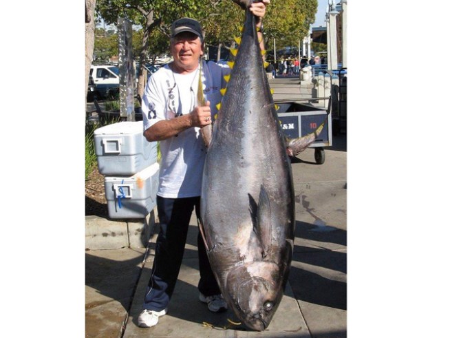 Quite a Catch for a Local Fisherman!  