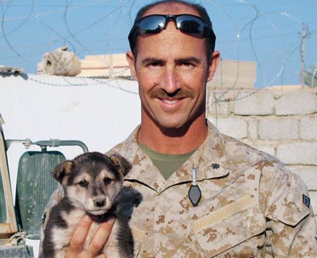 Rescued Dog, Ex-Marine Foil Car Theft