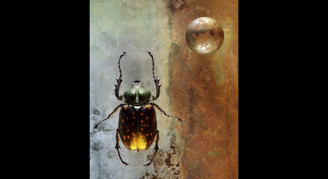 Bugging Out