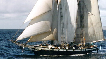 Park the Car, Sail to Catalina 