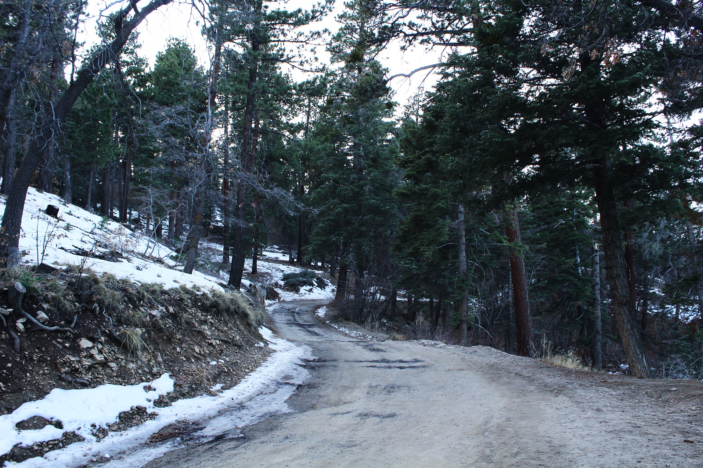 A trail leading to Snow Summit in Big Bear