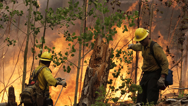 Los Alamos Fire